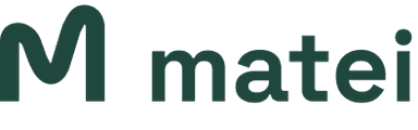 Matei Technology - IT Solutions and Strategy